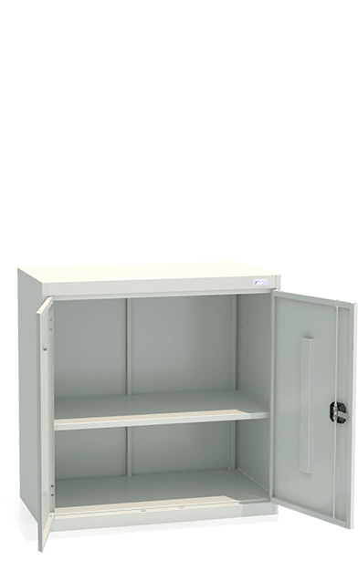 Шкаф архивный ШХА-N/2- 900(50) купить в Красноярске