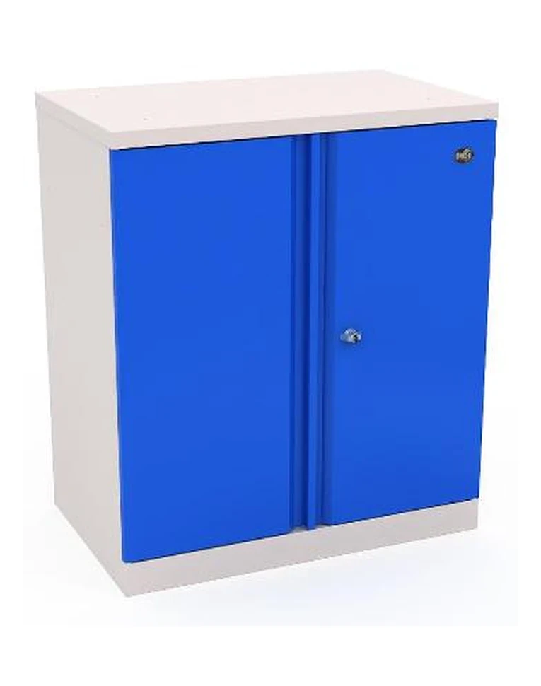 Шкаф инструментальный ERGO 181/2 №1 купить в Красноярске
