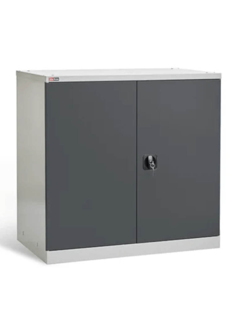 Шкаф инструментальный ДиКом ВЛ-051 (7038/7016) купить в Красноярске Шкаф инструментальный ДиКом ВЛ-051 (7038/7016) купить в Красноярске